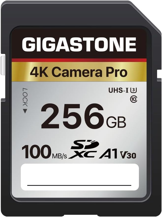 Gigastone 4K Camera Pro 256GB