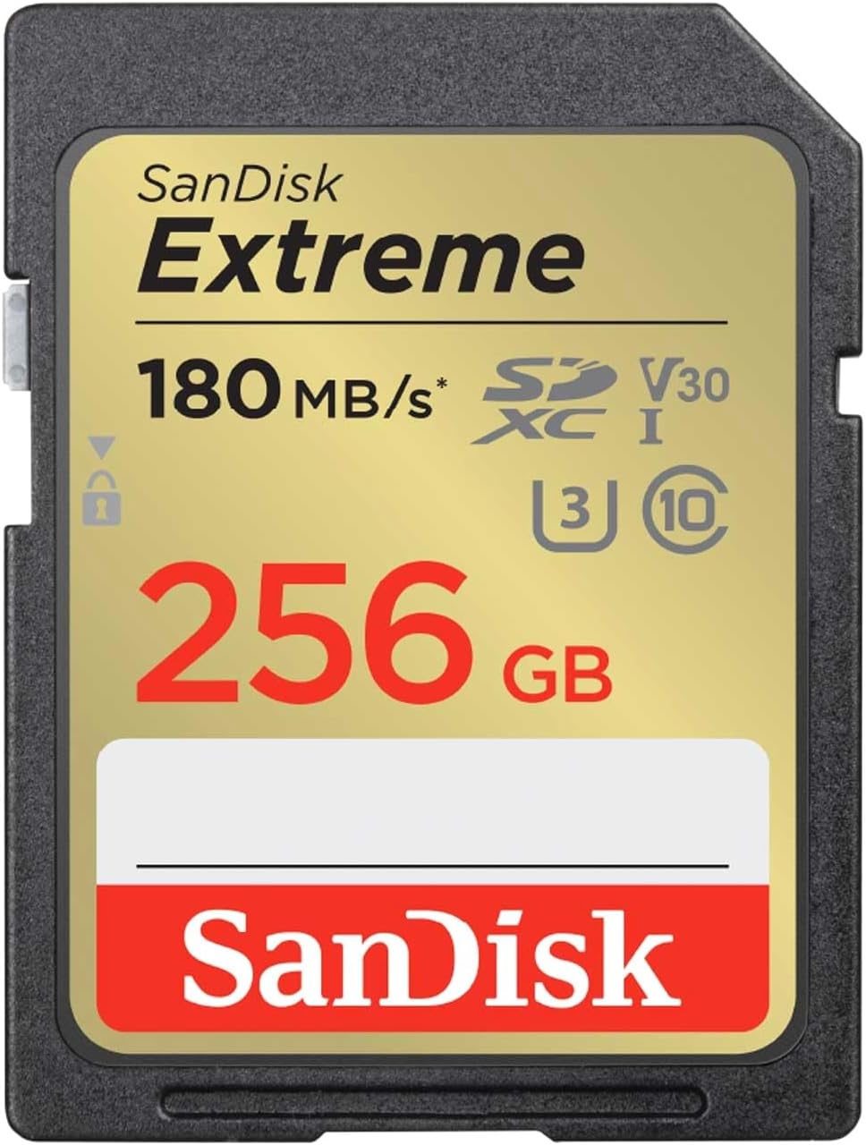 SanDisk Extreme 256GB