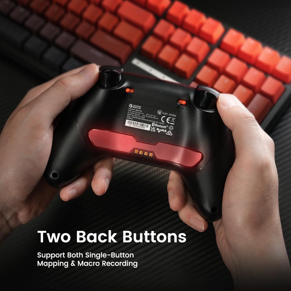 GameSir Nova 2 Lite 背面ボタン Two Back Buttons